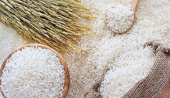 Giá lúa gạo hôm nay 3/7: Giá gạo biến động trái chiều, giá gạo 100% tấm xuất khẩu tăng