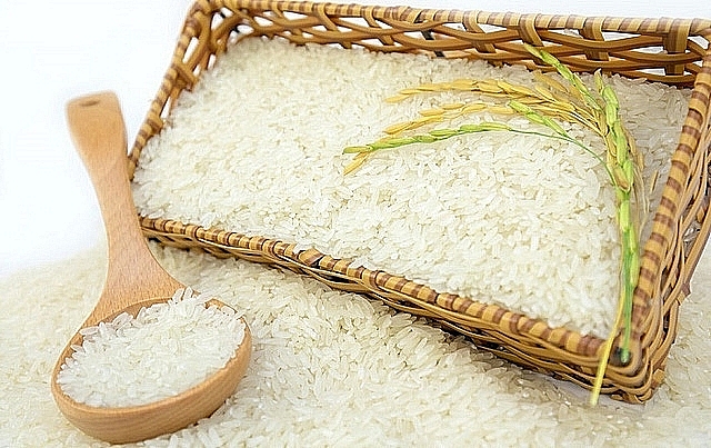 Giá lúa gạo hôm nay 19/3: Giá gạo xuất khẩu tăng trở lại