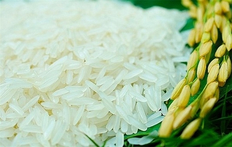 Giá lúa gạo hôm nay 24/4: Giá lúa gạo xu hướng tăng