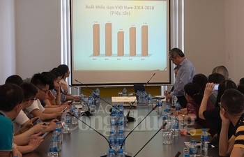 Tăng cường kết nối doanh nghiệp xuất nhập khẩu gạo Việt Nam - Trung Quốc