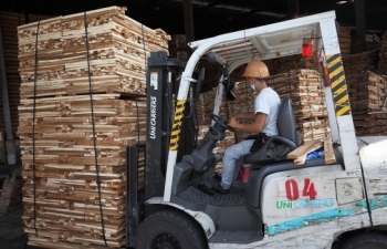 Tăng liên kết, giảm thiểu đứt gãy trong chuỗi cung ứng cho ngành gỗ