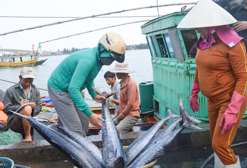 Sản phẩm hải sản xuất khẩu vẫn đảm bảo chất lượng ổn định
