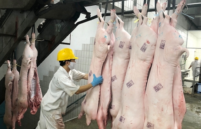 Hệ thống Saigon Co.op: Trắng đêm kiểm soát thịt heo vào siêu thị