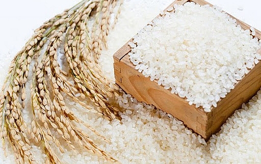 Giá lúa gạo hôm nay 28/6: Giá gạo nguyên liệu xu hướng giảm nhẹ