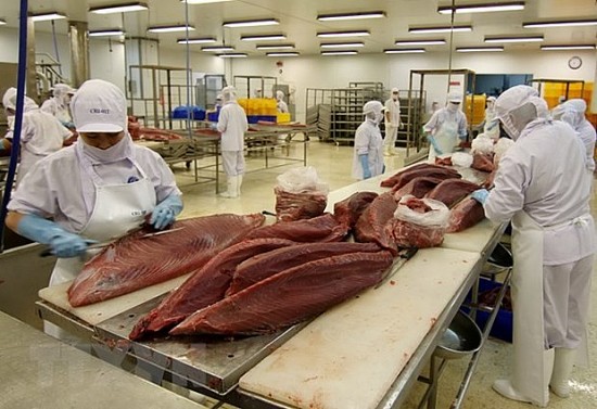 VASEP đề xuất gì để xuất khẩu cá ngừ tận dụng được lợi thế FTA?