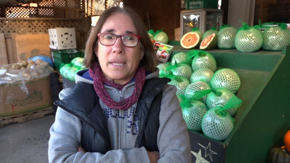 Thanh long và bưởi da xanh của hợp tác xã Việt “lên kệ” siêu thị tại Canada