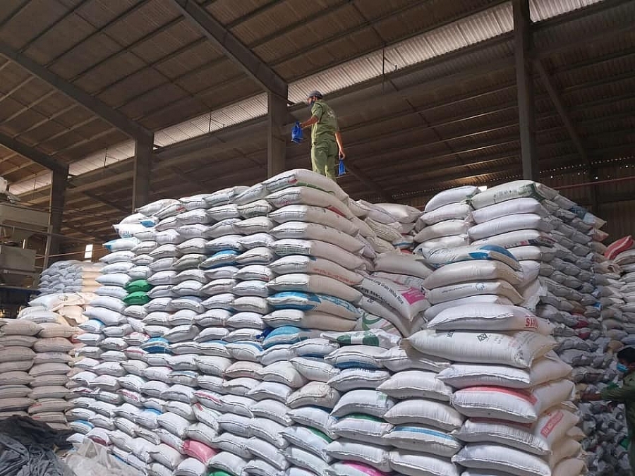 Doanh nghiệp gạo rục rịch “nối lại” hoạt động xuất khẩu