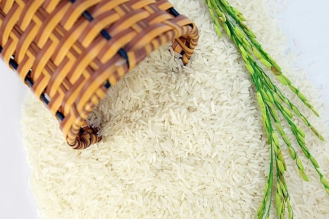 Giá lúa gạo hôm nay 12/10: Giá gạo nguyên liệu tiếp tục tăng