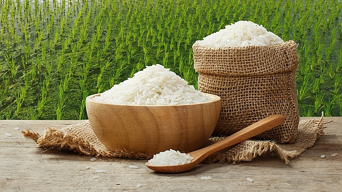 Giá lúa gạo hôm nay 28/10: Giá lúa biến động trái chiều, giá gạo xuất khẩu cao hơn Thái Lan 50 USD