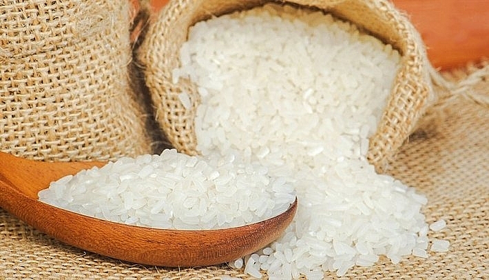 Giá lúa gạo hôm nay 16/12: Giá lúa giảm, giá gạo xuất khẩu biến động trái chiều