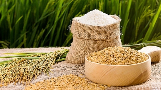 Giá lúa gạo hôm nay 7/6: Giá gạo tiếp đà tăng, thị trường sôi động
