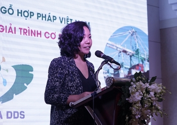 Hawa DDS tạo thuận lợi vượt trội cho các doanh nghiệp gỗ Việt