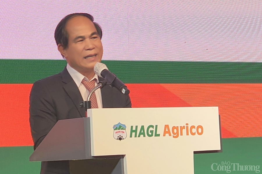 Gia Lai kêu gọi THACO và HAGL đầu tư vào nông nghiệp công nghệ cao, công nghiệp chế biến