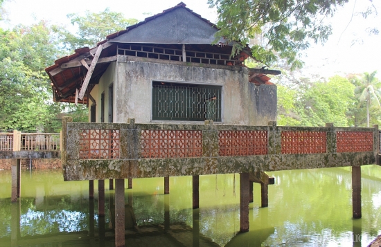 Long An: Di tích lịch sử Núi Đất hoang phế hàng chục năm