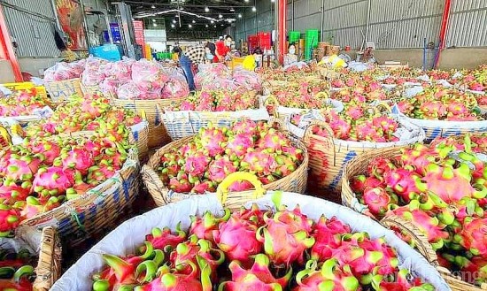 Cách nào tăng xuất khẩu nông sản chính ngạch cho tỉnh Tiền Giang?
