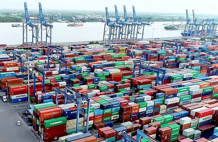 Hải quan TP. Hồ Chí Minh giải quyết nhanh 700 container tồn đọng