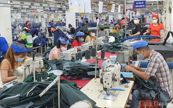 TP. Hồ Chí Minh tập trung hỗ trợ doanh nghiệp phục hồi sản xuất kinh doanh