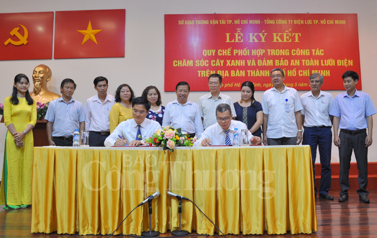 TP. Hồ Chí Minh tăng cường bảo đảm an toàn cho hệ thống lưới điện