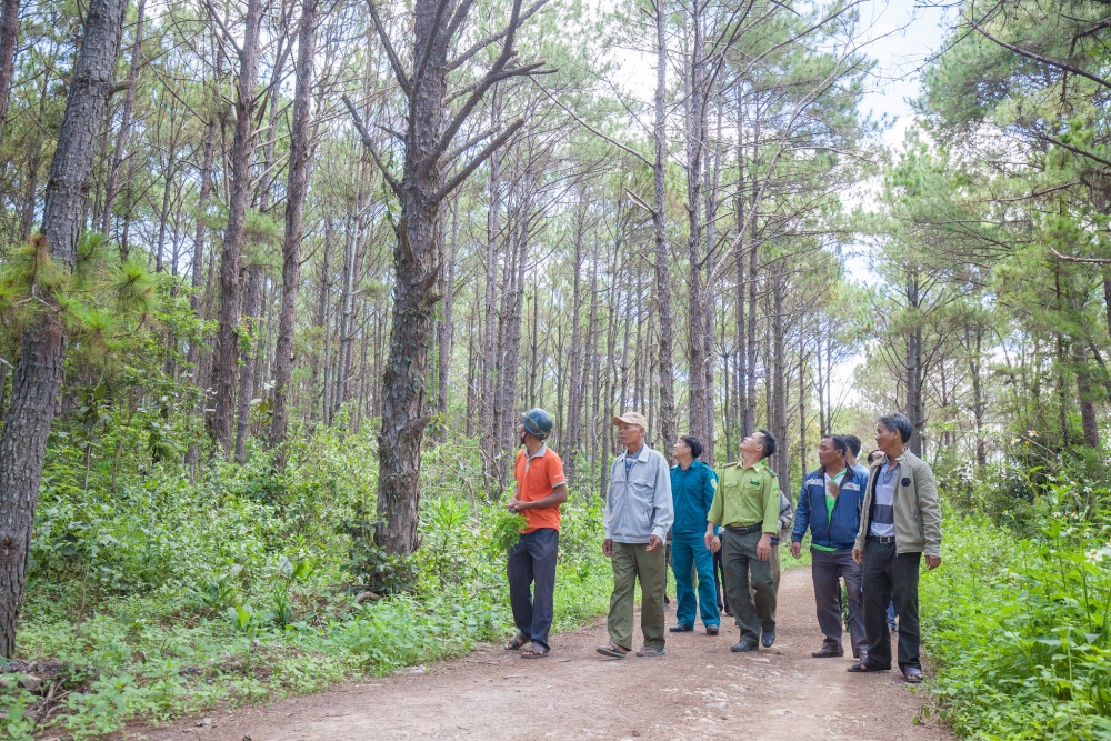 Khởi động hai dự án Quản lý rừng bền vững và bảo tồn đa dạng sinh học