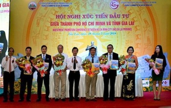 TP. Hồ Chí Minh- Gia Lai: Tăng cường hợp tác, thu hút đầu tư