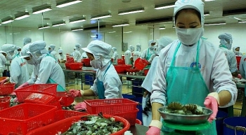 Mỹ giảm mạnh mức thuế chống bán phá giá tôm Việt Nam