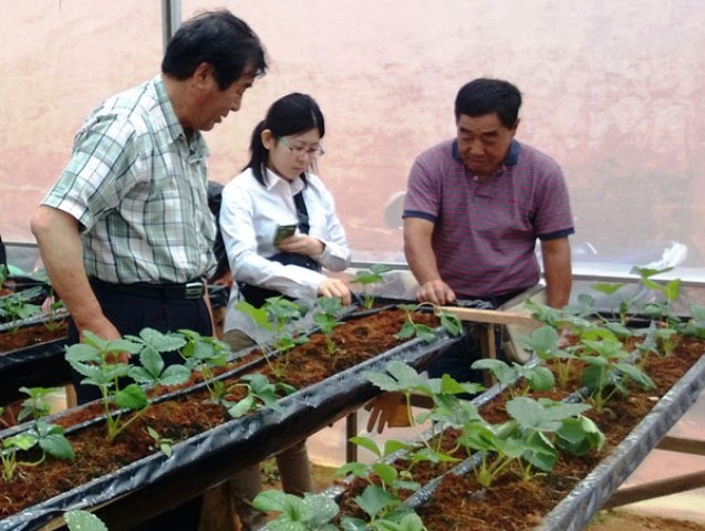 Đẩy mạnh hợp tác nông nghiệp Việt Nam – Nhật Bản