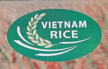 Logo thương hiệu gạo Việt Nam: Khẳng định vị thế hạt gạo Việt trên thị trường thế giới
