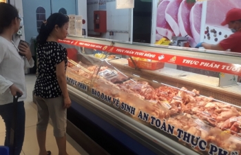 Lâm Đồng: Tái đàn là mấu chốt của việc bình ổn thị trường thịt heo