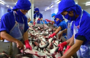 Thái Lan là thị trường xuất khẩu cá tra lớn nhất tại ASEAN