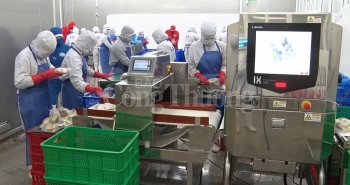 Hỗ trợ 1 tỷ đồng nguồn vốn khuyến công quốc gia cho xuất khẩu khoai lang tại Lâm Đồng