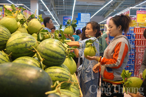 Thương mại TP. Hồ Chí Minh -  Bứt phá tiêu dùng nội địa, chinh phục thị trường thế giới