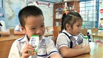 TP. Hồ Chí Minh: Triển khai chương trình sữa học đường