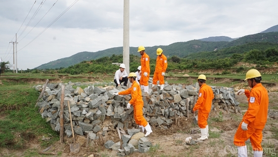 EVNSPC tổ chức khảo sát an toàn về điện trong mùa mưa bão ở Ninh Thuận