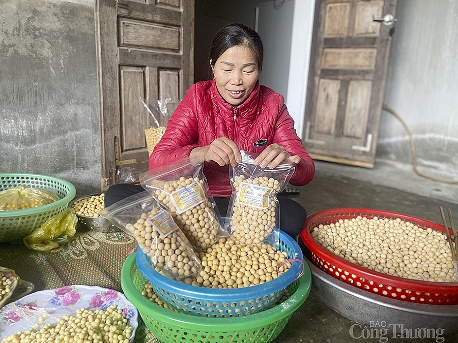 Làng nghề bánh cà ở Nghệ An tất bật dịp cận Tết, thu cả trăm triệu đồng