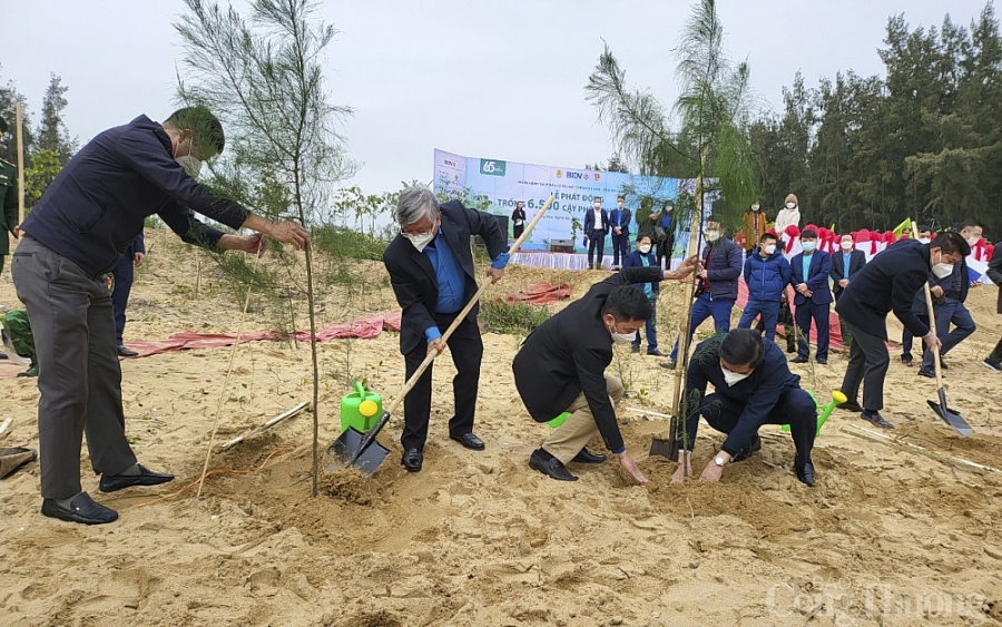 Ngân hàng BIDV khởi động chương trình trồng ‘1 triệu cây xanh’