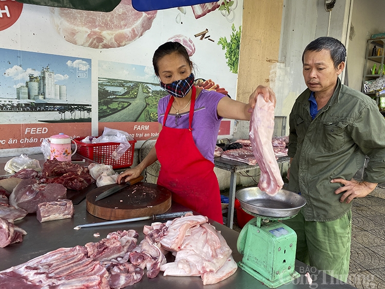 Nghệ An: Chậm tái đàn, giá lợn cao kỷ lục
