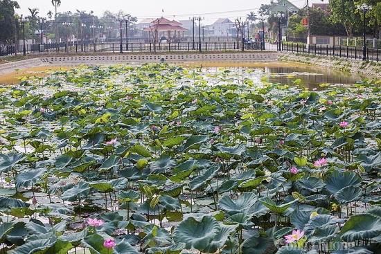 "Homestay" - điểm nhấn văn hóa du lịch trên quê hương Bác Hồ