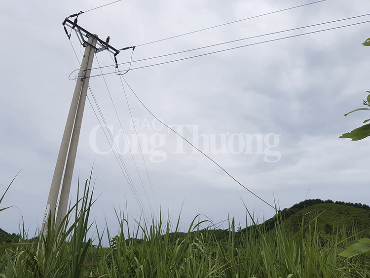 4 người tử vong ở Nghệ An: Vi phạm nghiêm trọng hành lang an toàn lưới điện
