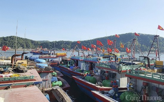 Giá xăng dầu liên tiếp giảm sâu, ngư dân Nghệ An phấn khởi vươn khơi