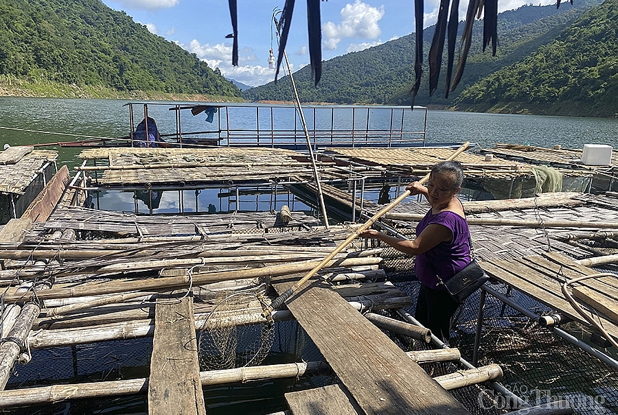 Nghệ An: Xóm lồng bè trên lòng hồ thủy điện