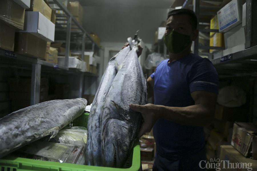 Nghệ An: Tính chuyện "đường dài" cho hải sản đông lạnh
