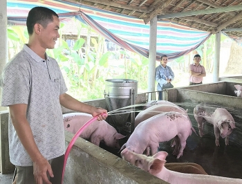 Nghệ An: Giá tăng kỷ lục, thịt lợn sẽ tiếp tục tăng đến Tết Nguyên đán
