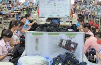 Thừa Thiên Huế: Hỗ trợ doanh nghiệp đa dạng hóa thị trường xuất khẩu
