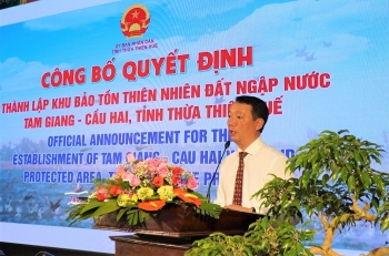 Thừa Thiên Huế: Thành lập Khu bảo tồn thiên nhiên đất ngập nước Tam Giang – Cầu Hai