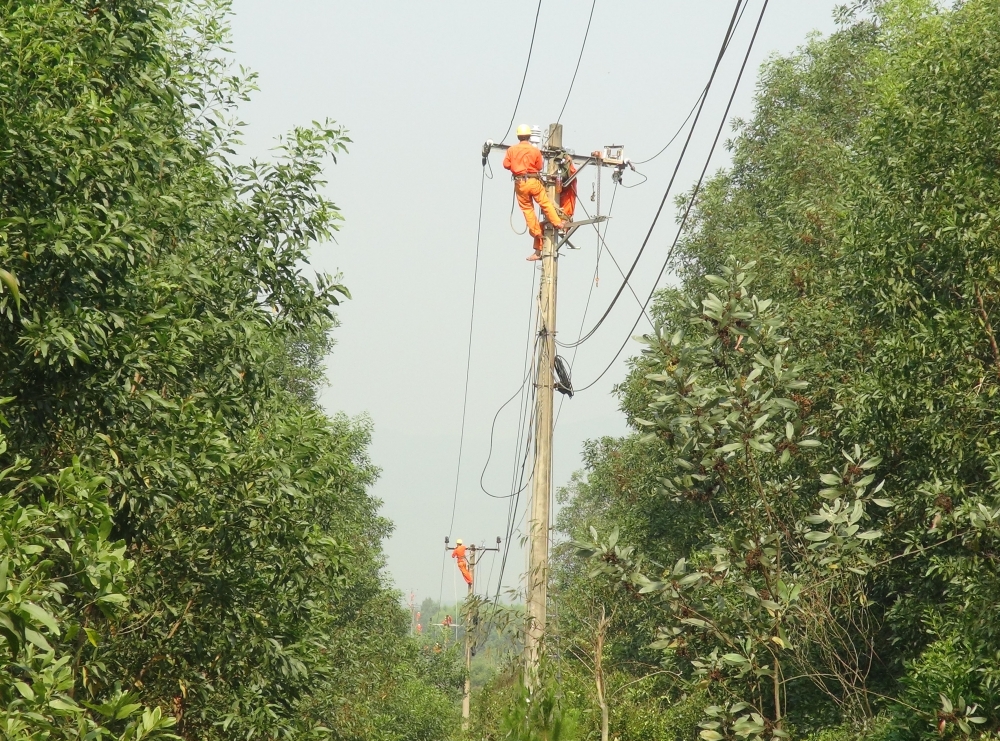 Ngành điện Quảng Bình: Chủ động ứng phó trước mùa mưa bão 2020