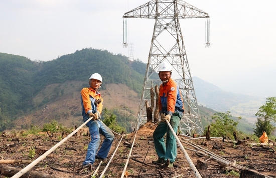 Quảng Ngãi: Đảm bảo cung cấp điện khi thi công đường dây 500kV Dốc Sỏi - Pleiku 2