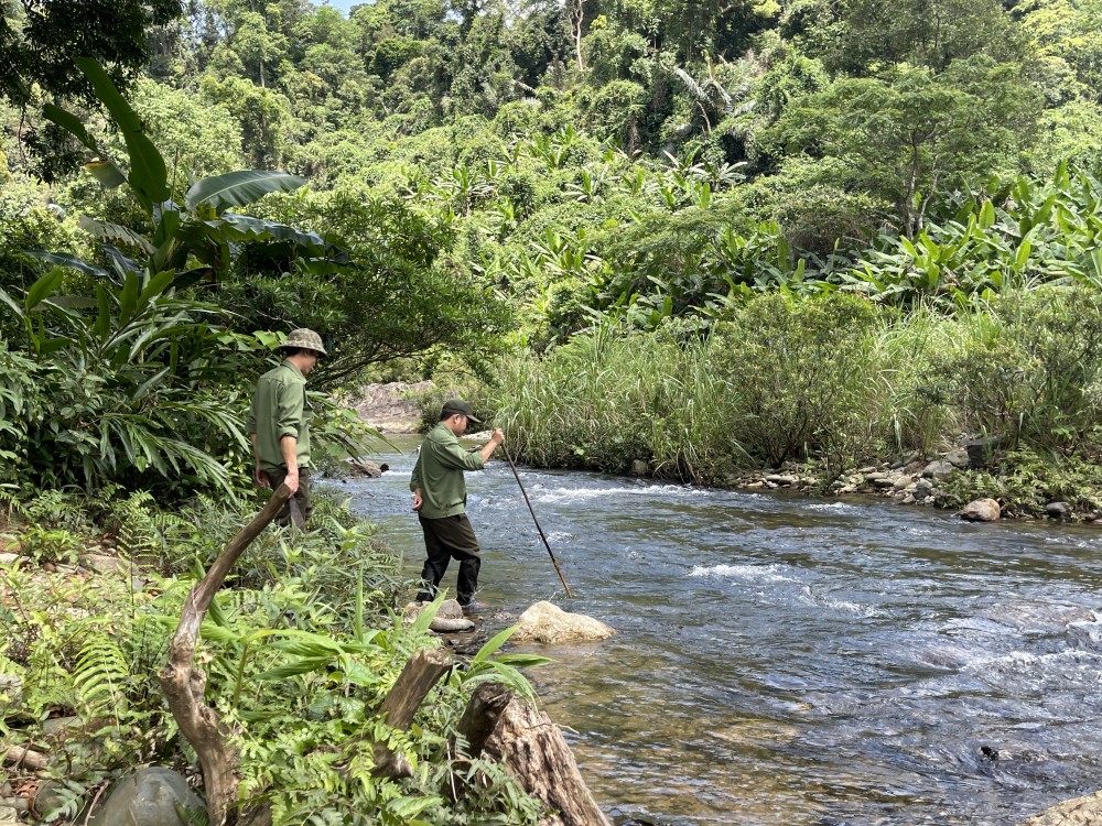 Quảng Bình: Còn nhiều khó khăn trong công tác quản lý bảo vệ rừng