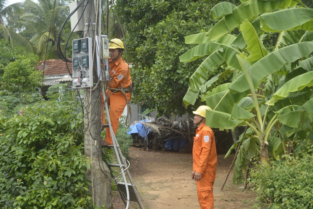 PC Bình Định: Tiếp tục nhận lưới điện hạ áp nông thôn