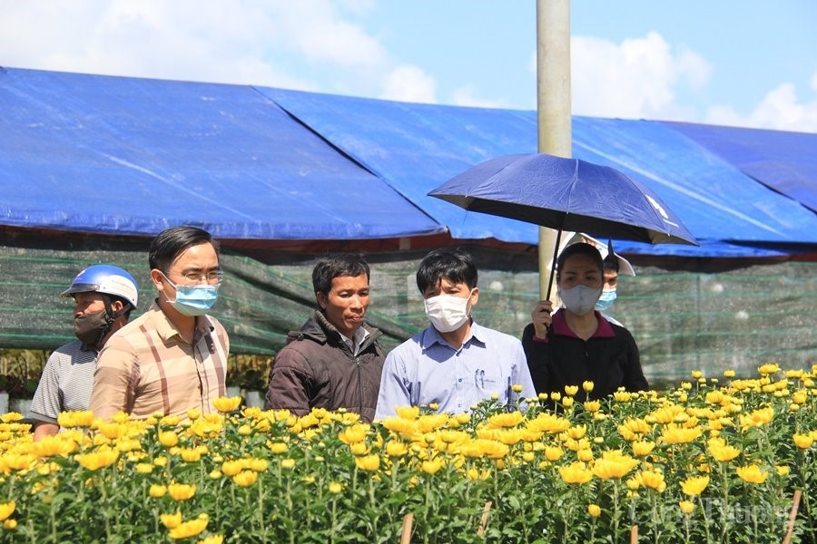 Gia Lai: Nỗ lực khơi thông đầu ra cho nông sản và hoa Tết