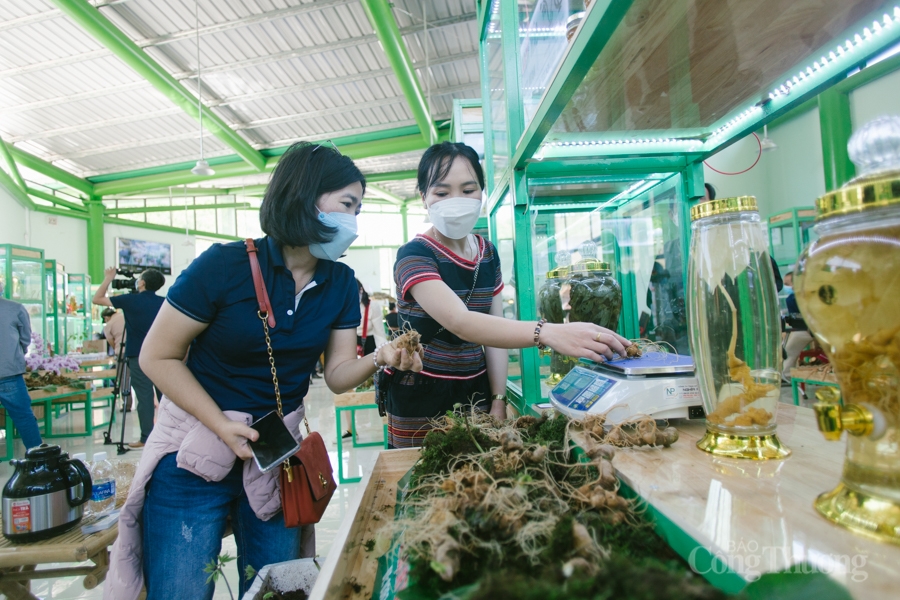 Quảng Nam: Rộn ràng phiên chợ sâm Ngọc Linh
